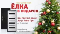При покупке двери Аргус Люкс Про, искусственная елка (пр-во Россия) в подарок! При покупке двери Аргус Люкс Про, искусственная елка (пр-во Россия) в подарок!